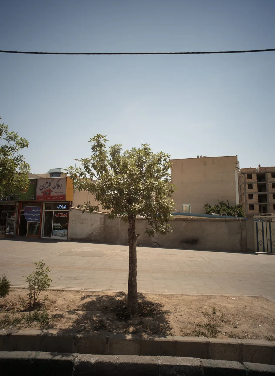 املاک گلستان