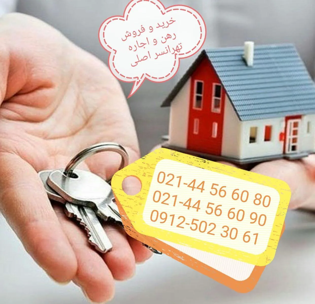 مشاورین املاک علی - تصویر 2