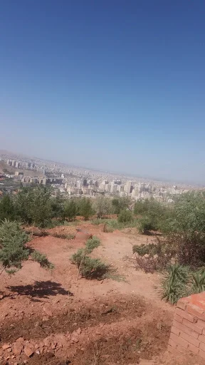 شرکت برنامه نویسان دانش برتر سهند - تصویر 3