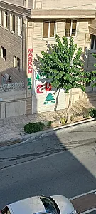 مسکن کاج
