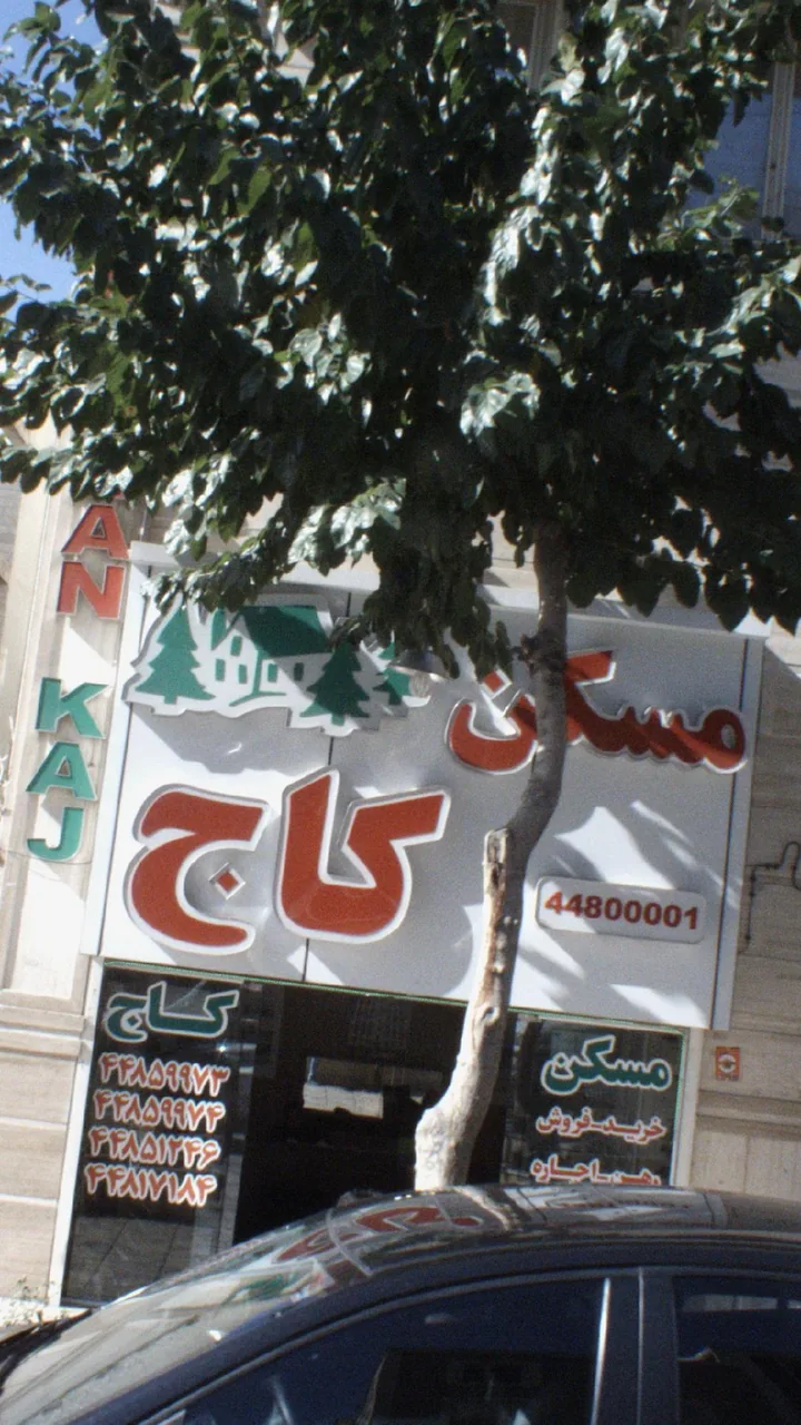 مسکن کاج - تصویر 3