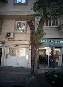 مشاورین املاک محمدی