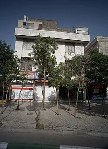 مشاور املاک نیلی