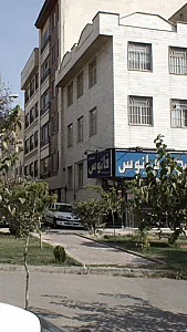 مسکن فانوس