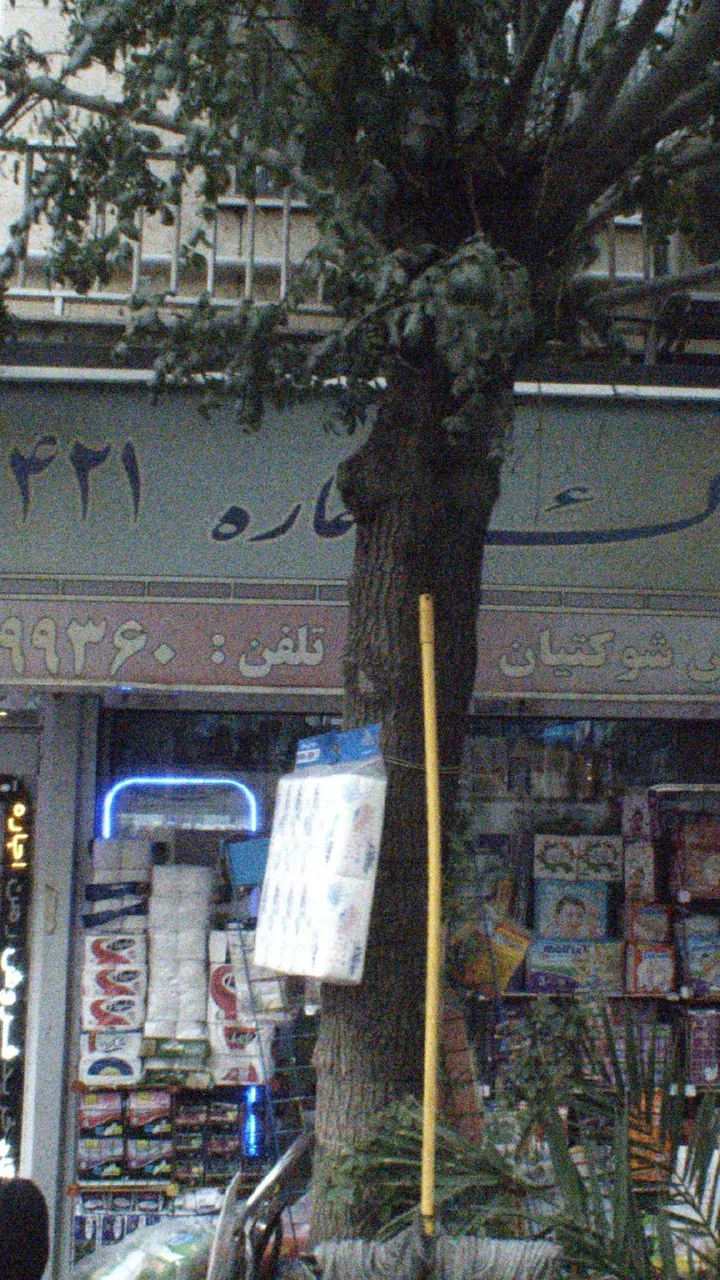 املاک بزرگ آلفا (شعبه 5)
