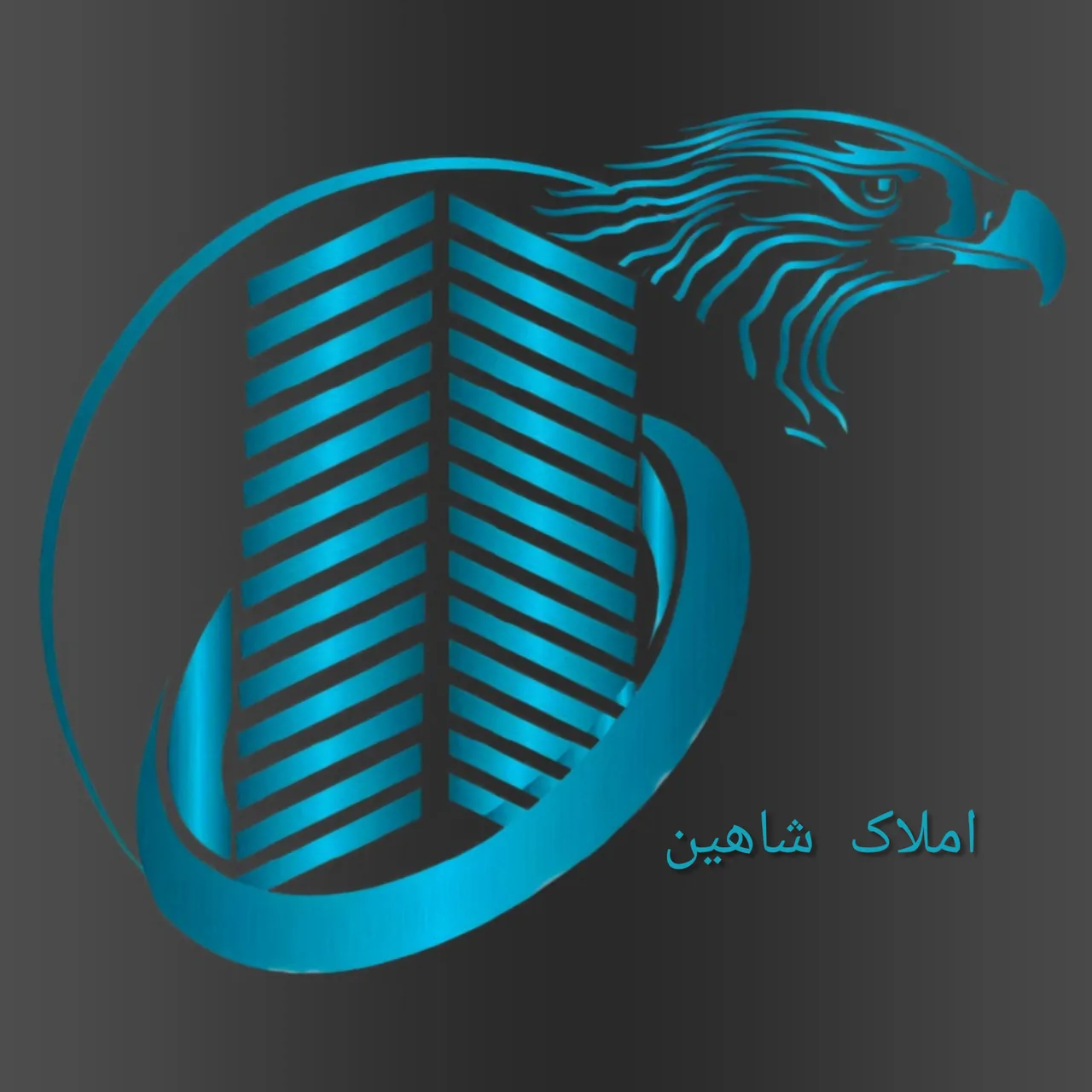 املاک شاهین - تصویر 4