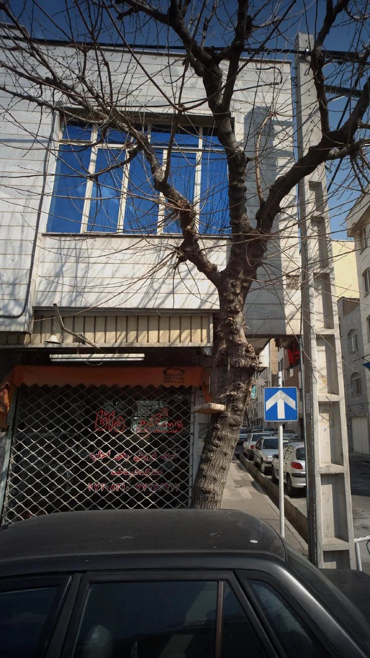 مسکن دانا - تصویر 2