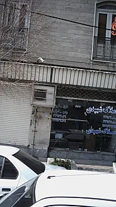 املاک شهیدی