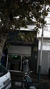مشاورین املاک خانه سبز