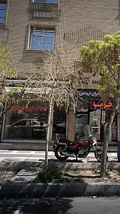 املاک نوین ایرانیان