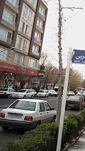 املاک تیموری
