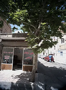 مشاور املاک درگاهی
