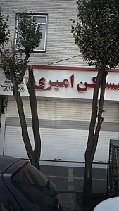 مسکن امیری