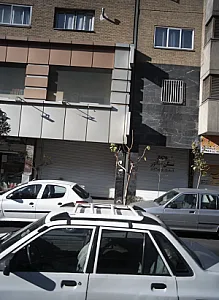 مسکن سناتور