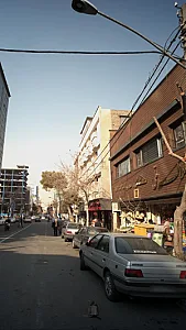 گروه ملی