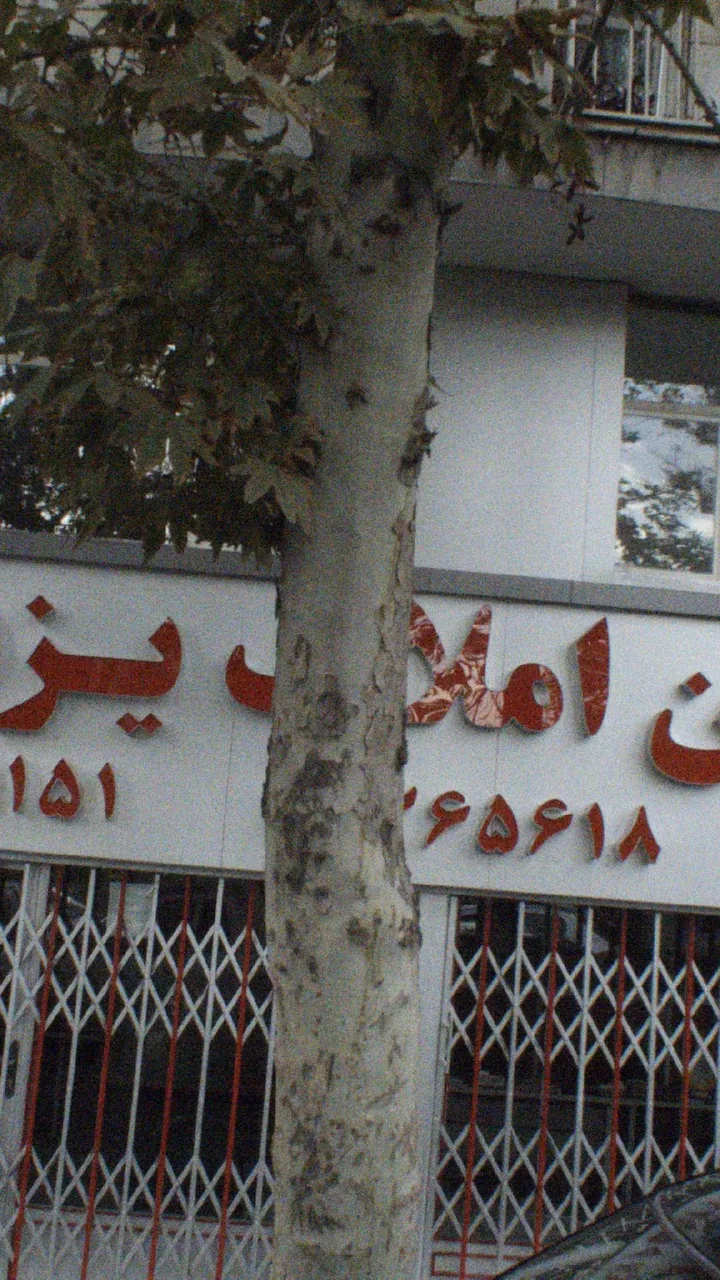 املاک یزدی - تصویر 2