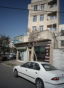 املاک شایسته