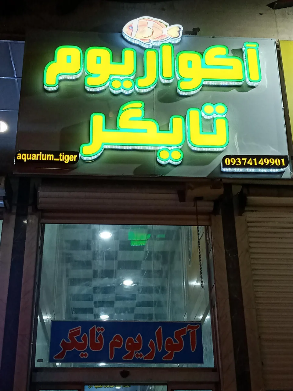 آکواریوم تایگر - تصویر 4