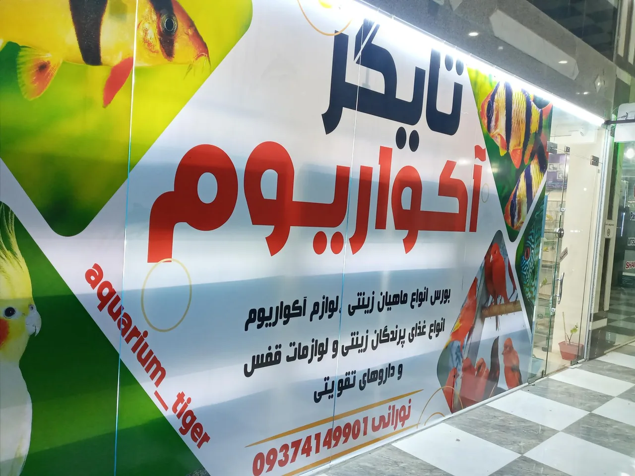 آکواریوم تایگر - تصویر 5