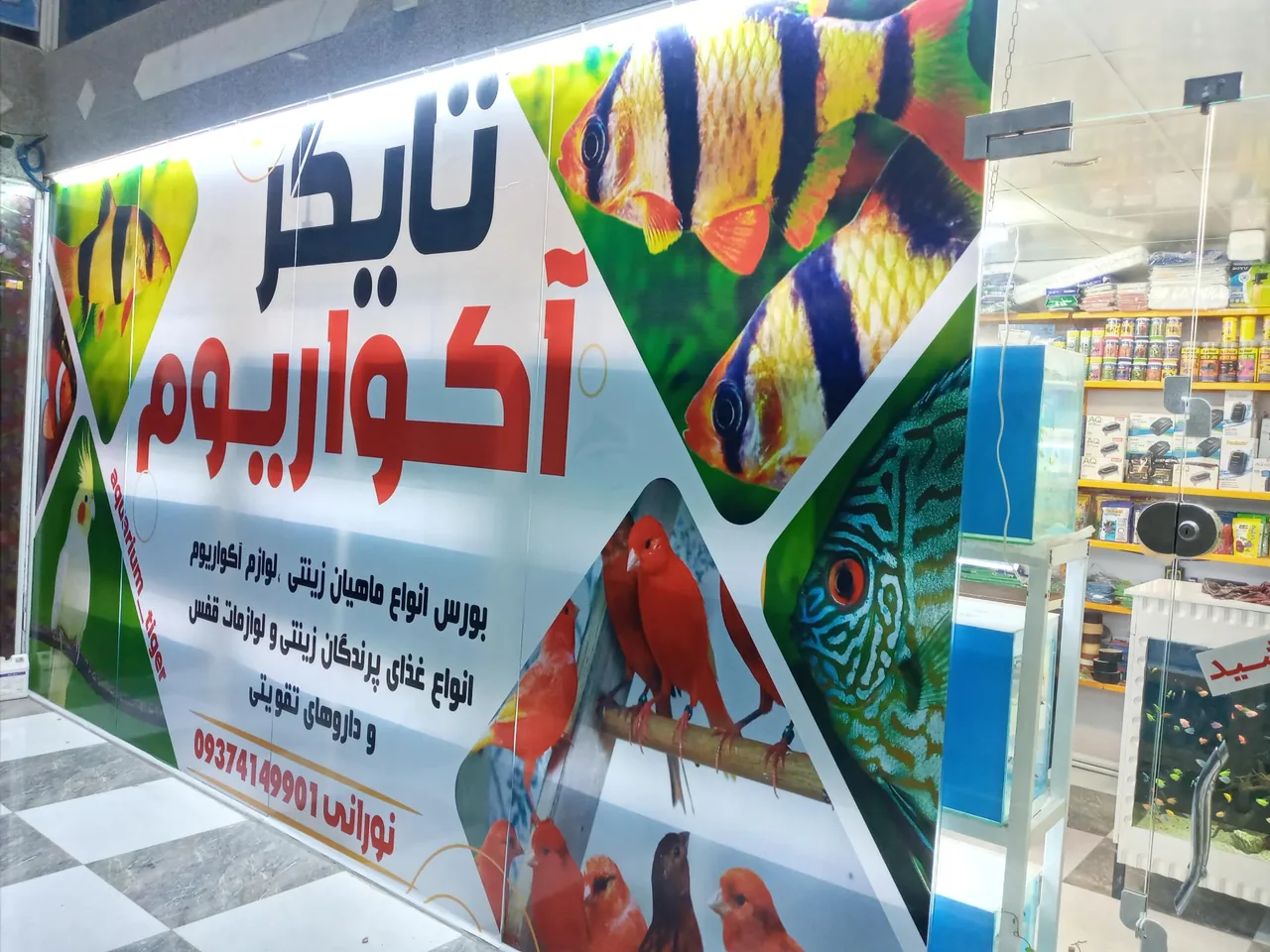 آکواریوم تایگر - تصویر 6