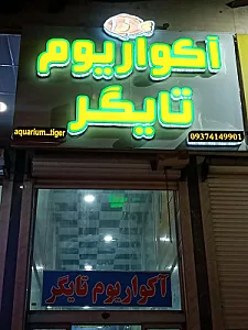 آکواریوم تایگر