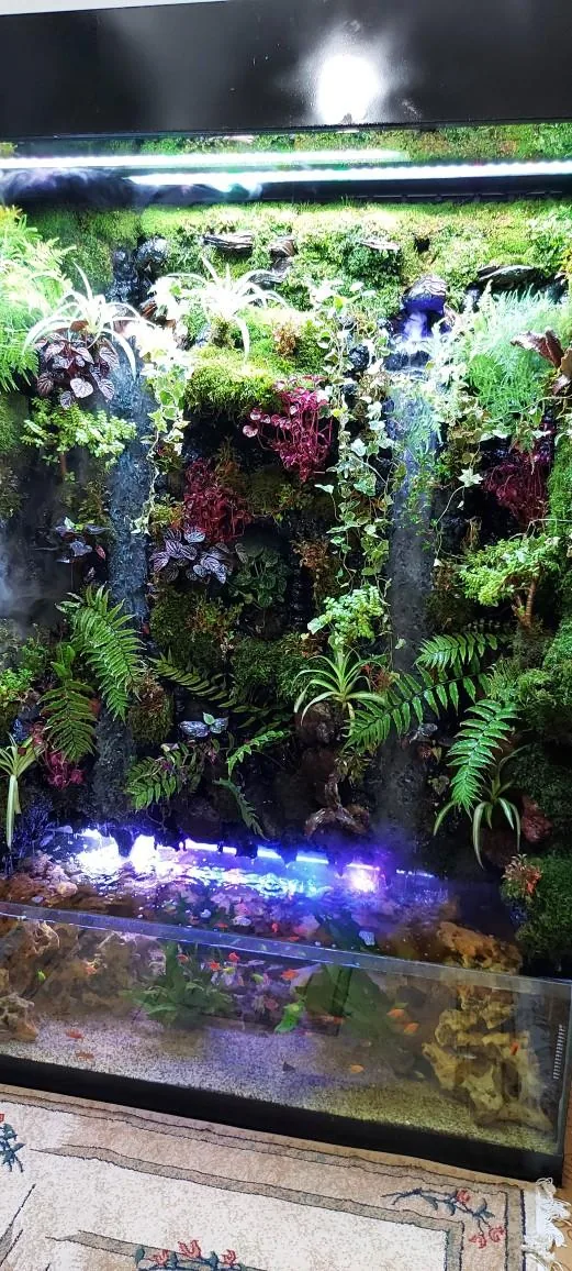 آکواریوم طبیعت - تصویر 10