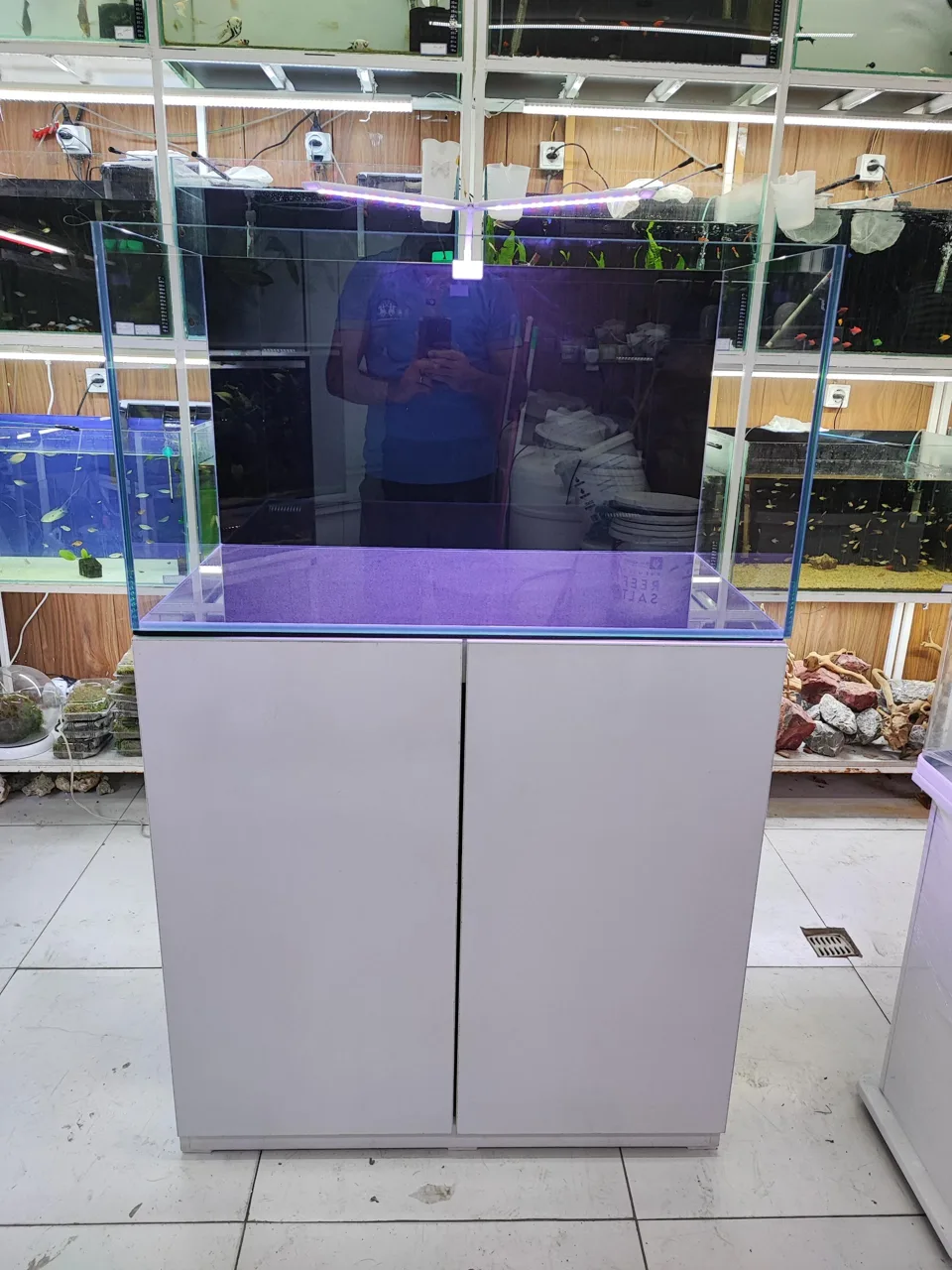 آکواریوم طبیعت - تصویر 4