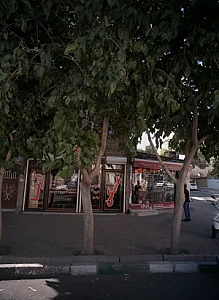 مسکن آریا