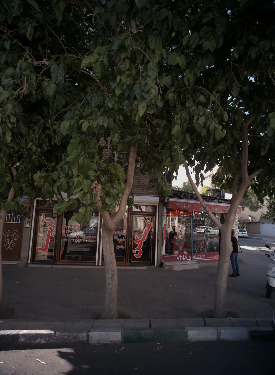 مسکن آریا