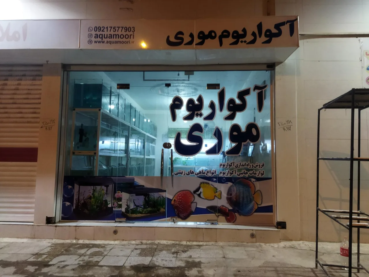 فروشگاه آکواریوم موری - تصویر 2