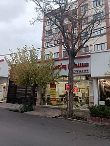 مسکن ونوس