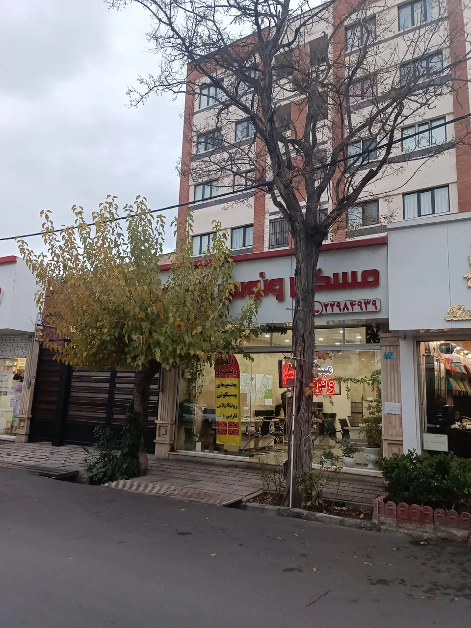 مسکن ونوس