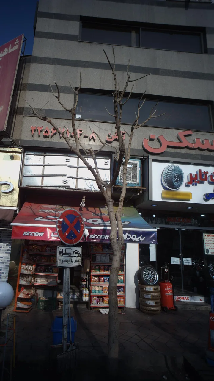 شاهین مسکن - تصویر 2