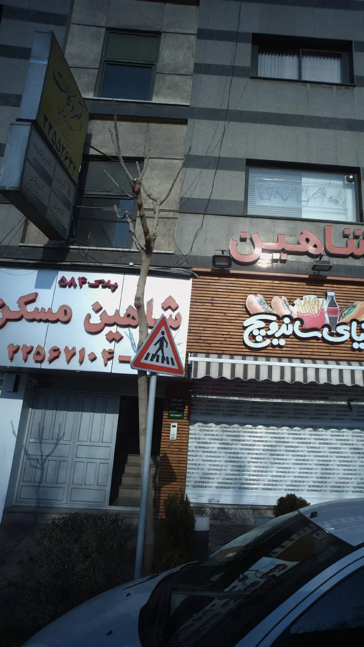 شاهین مسکن - تصویر 3