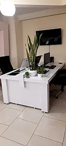 اسپیناس نوین