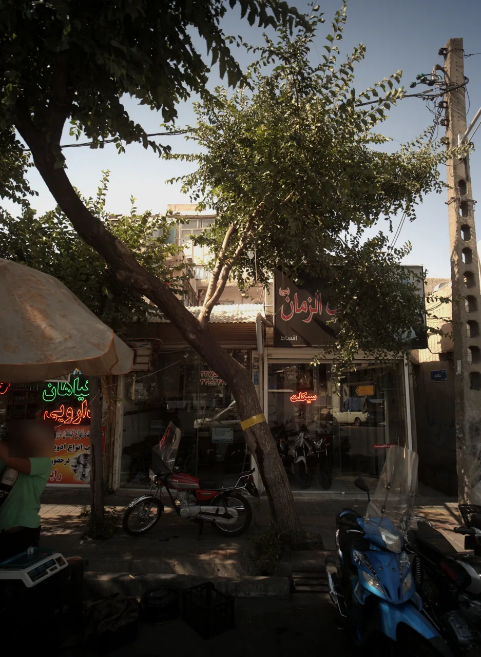 مشاور املاک