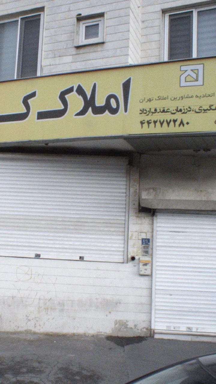 الکترکی - تصویر 2