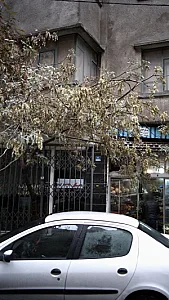 مسکن مدبری