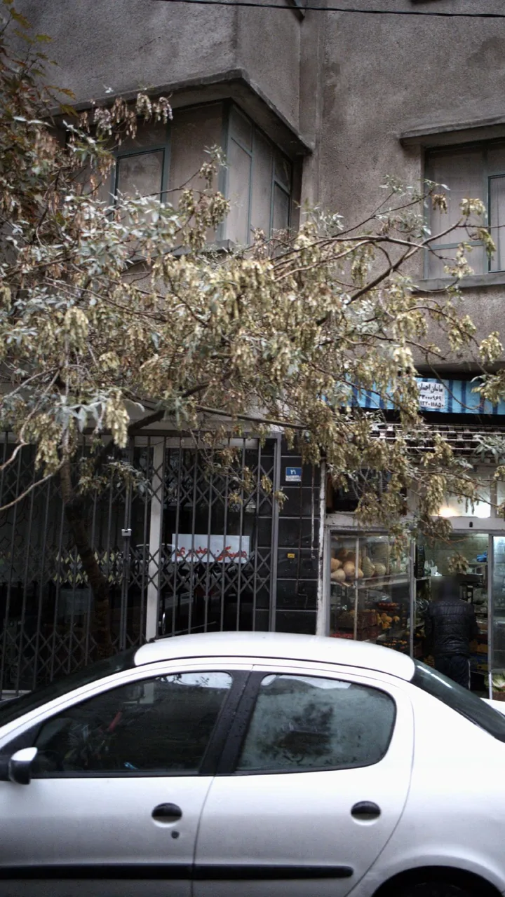 مسکن مدبری