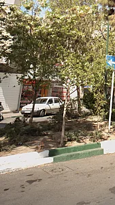 مسکن سعید