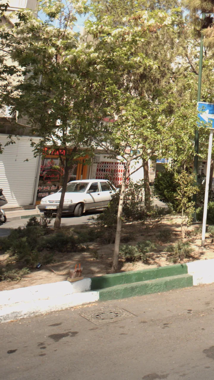 مسکن سعید