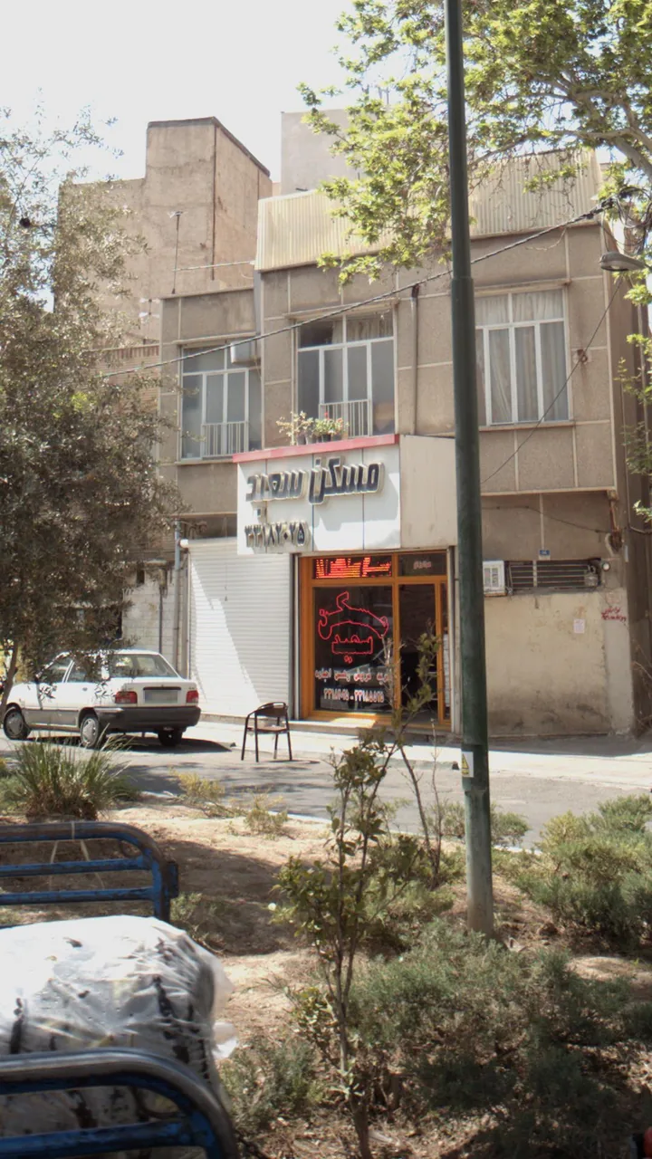 مسکن سعید - تصویر 2