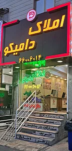 مشاورین املاک دامیکو