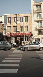 کارشناسان مسکن گلی
