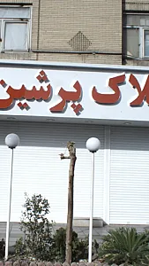 املاک پرشین 2