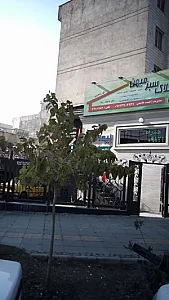 مشاورین املاک سبز میهن