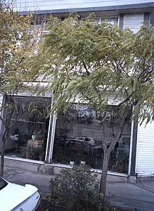 املاک عدالت