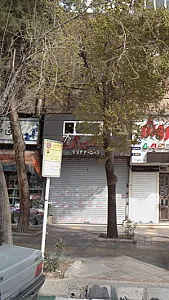 مسکن آریا