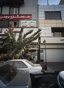 مسکن نگین