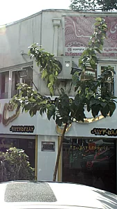 مسکن نشاط